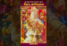 Photo of சென்னை சீனிவாச நகர் | ஐயப்பன் சிறப்பு அபிஷேகம் | Special Abishekam
