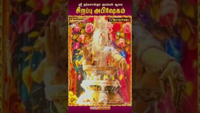 Photo of சென்னை சீனிவாச நகர் | ஐயப்பன் சிறப்பு அபிஷேகம் | Special Abishekam