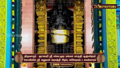 Photo of திருவாரூர் – ஞானபுரி ஸ்ரீ சங்கடஹர மங்கள மாருதி ஆஞ்சநேயர் சிறப்பு அபிஷேகம் & அலங்காரம்
