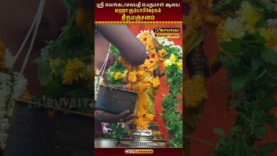 Photo of திருவாரூர் – புலிவலம் ஸ்ரீ வெங்கடாசலபதி பெருமாள் ஆலயம்மஹா கும்பாபிஷேகம் & திருமஞ்சனம் | Thiruvaiyaru