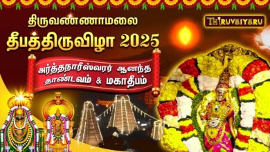 Photo of திருவண்ணாமலை அர்த்தநாரீஸ்வரர் ஆனந்த தாண்டவம் & மகாதீபம் – தீபத்திருவிழா | Thiruvannamalai Deepam