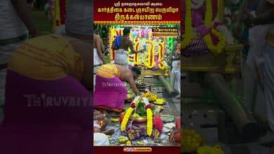 Photo of திருநாகேஸ்வரம் ஸ்ரீ நாகநாதசுவாமி ஆலய கார்த்திகை மாத கடை ஞாயிறு பெருவிழா திருக்கல்யாணம்