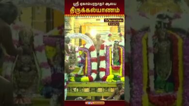 Photo of காஞ்சிபுரம்ஸ்ரீ ஏகாம்பரநாதர் ஆலய  திருக்கல்யாணம் | Kanchipuram Ekambaranathar Thirukalyanam