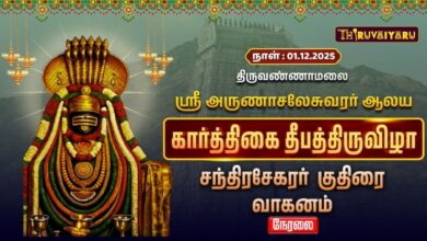 Photo of 🔴Live : திருவண்ணாமலை ஸ்ரீ அருணாசலேசுவரர் ஆலய தீபத் திருவிழா குதிரை வாகனம்