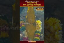 Photo of திருநாகேஸ்வரம் நாகநாதசுவாமி கார்த்திகை கடை ஞாயிறு அபிஷேகம் | Thirunageswaram Karthigai Abhishekam 🙏