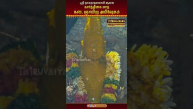 Photo of திருநாகேஸ்வரம் நாகநாதசுவாமி கார்த்திகை கடை ஞாயிறு அபிஷேகம் | Thirunageswaram Karthigai Abhishekam 🙏