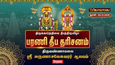 Photo of 🔴Live : திருவண்ணாமலை ஸ்ரீ அருணாசலேசுவரர் ஆலய கார்த்திகை தீபத் திருவிழா பரணி தீப தரிசனம்