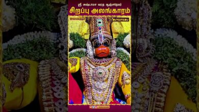 Photo of 🙏 கோயம்புத்தூர் அஷ்டாமச வரத ஆஞ்சநேயர் | சிறப்பு அலங்காரம் | Sri Ashtamasa Varada Anjaneya  Alankaram