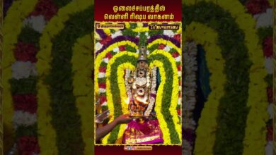 Photo of திருநாகேஸ்வரம் ஓலைச்சப்பரம் வெள்ளி ரிஷப வாகனம் | Velli Rishaba Vahanam #thirunageswaram