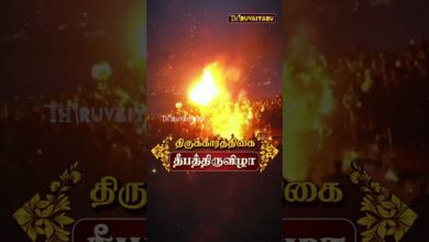 Photo of திருவண்ணாமலை கார்த்திகை தீப திருவிழா | பரணி தீபம் & மகா தீபம் | Tomorrow Live Promo