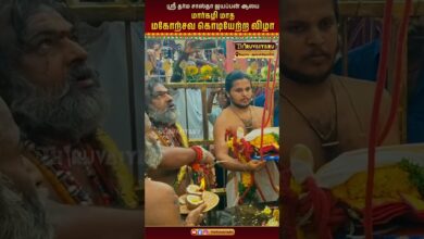 Photo of роХрпЗро░ро│ро╛ – роЕроЪрпНроЪройрпНроХрпЛро╡ро┐ро▓рпН ро╕рпНро░рпА родро░рпНроо роЪро╛ро╕рпНродро╛ роРропрокрпНрокройрпН роЖро▓роп рооро╛ро░рпНроХро┤ро┐ рооро╛род роороХрпЛро▒рпНроЪро╡ роХрпКроЯро┐ропрпЗро▒рпНро▒ ро╡ро┐ро┤ро╛ Thiruvaiyaru