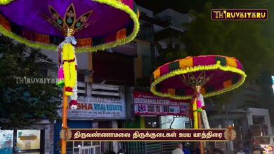 Photo of திருவண்ணாமலை திருக்குடை உபய யாத்திரை | Thiruvannamalai Thirukudai Upaya Yathirai | Thiruvaiyaru