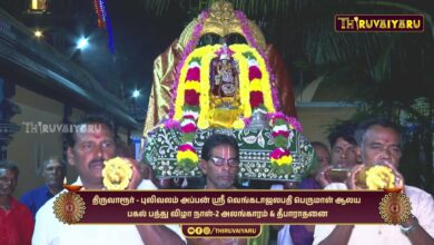 Photo of திருவாரூர் – புலிவலம்  ஸ்ரீ வெங்கடாஜலபதி பெருமாள் ஆலய பகல் பத்து விழா நாள்–2 அலங்காரம் & தீபாராதனை