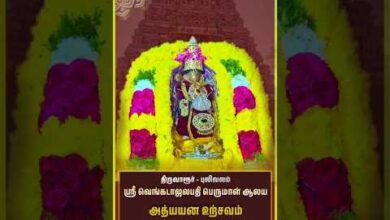 Photo of திருவாரூர் – புலிவலம் அப்பன் ஸ்ரீ வெங்கடாஜலபதி பெருமாள் ஆலய சொர்க்க வாசல் திறப்பு | Thiruvaiyaru
