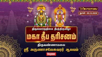 Photo of 🔴Live : திருவண்ணாமலை ஸ்ரீ அருணாசலேசுவரர் ஆலய கார்த்திகை தீபத் திருவிழா மகா தீப தரிசனம்