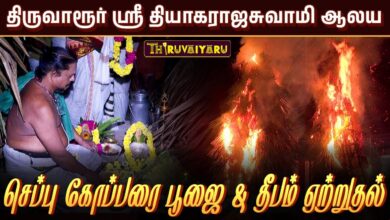 Photo of திருவாரூர் ஸ்ரீ தியாகராஜசுவாமி ஆலய செப்பு கோப்பரை பூஜை & தீபம் ஏற்றுதல் | Cheppu Kopparai Pooja