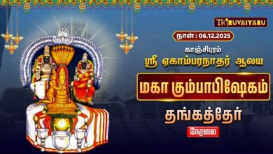 Photo of 🔴Live : காஞ்சிபுரம் ஸ்ரீ ஏகாம்பரநாதர் ஆலய மகா கும்பாபிஷேகம் தங்கத்தேர் |  Thanga theer
