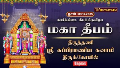 Photo of 🔴Live : திருத்தணி ஸ்ரீ சுப்பிரமணியசுவாமி ஆலய திருக்கார்த்திகை தீபத்திருவிழா மகா தீபம் | Maha Deepam