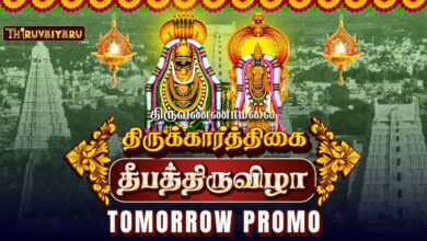 Photo of родро┐ро░рпБро╡рогрпНрогро╛рооро▓рпИ роХро╛ро░рпНродрпНродро┐роХрпИ родрпАрок родро┐ро░рпБро╡ро┐ро┤ро╛ | рокро░рогро┐ родрпАрокроорпН & роороХро╛ родрпАрокроорпН | Tomorrow Live Promo