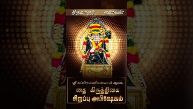 Photo of திருவாரூர் – எண்கண் ஸ்ரீ சுப்பிரமணியசுவாமி ஆலயம் தை கிருத்திகை சிறப்பு அபிஷேகம் | Special Abhishekam