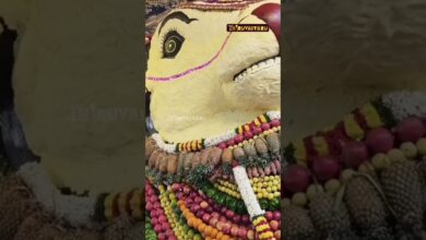 Photo of தஞ்சாவூர் ஸ்ரீ பெருவுடையார் ஆலய மாட்டுப் பொங்கல் சிறப்பு மகா நந்தி காய்கறி அலங்காரம்