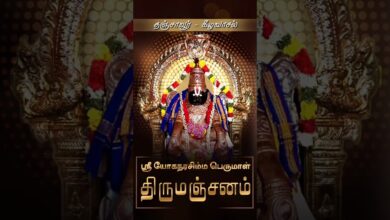 Photo of தஞ்சாவூர் – கீழவாசல் ஸ்ரீ யோகநரசிம்ம பெருமாள் ஆலய திருமஞ்சனம் | Thirumanjanam