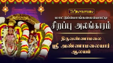 Photo of திருவண்ணாமலை ஸ்ரீ அண்ணாமலையார் ஆலய மாட்டுப் பொங்கலையொட்டி சிறப்பு அலங்காரம் | Sirappu Alangaram