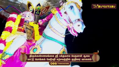 Photo of திருக்கண்ணமங்கை ஸ்ரீ பக்தவசல பெருமாள் ஆலய குதிரை வாகனம் | Kuthirai Vahanam | Thiruvaiyaru