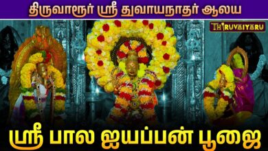 Photo of 🙏 திருவாரூர் ஸ்ரீ துவாயநாதர் ஆலய ஸ்ரீ பால ஐயப்பன் பூஜை | Bala Ayyappan Pooja