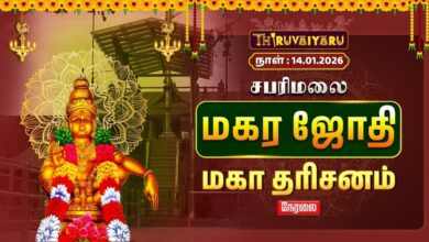 Photo of 🔴Live : சபரிமலை மகர ஜோதி மகா தரிசனம் | Sabarimala Makar Jothi Maha Darshanam