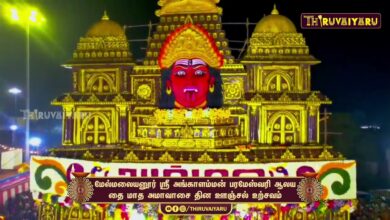 Photo of மேல்மலையனூர் ஸ்ரீ அங்காளம்மன் பரமேஸ்வரி ஆலய தை மாத அமாவாசை ஊஞ்சல் உற்சவம் | Unjal Urchavam