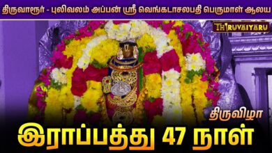 Photo of 🙏 திருவாரூர் – புலிவலம் ஸ்ரீ வெங்கடாசலபதி பெருமாள் ஆலயம்இராப்பத்து 47 நாள் திருவிழா | Thiruvaiyaru