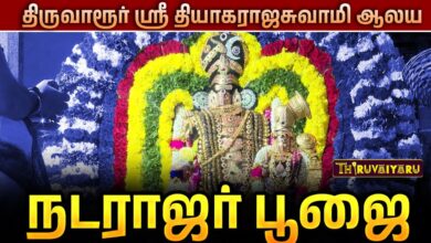 Photo of திருவாரூர் — ஸ்ரீ தியாகராஜ சுவாமி ஆலய நடராஜர் பூஜை  | Natarajar Pooja