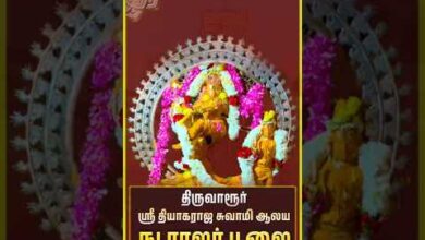 Photo of திருவாரூர் ஸ்ரீ தியாகராஜ சுவாமி நடராஜர் பூஜை | Thiruvarur Sri Thyagaraja Swamy Temple Nataraja Pooja