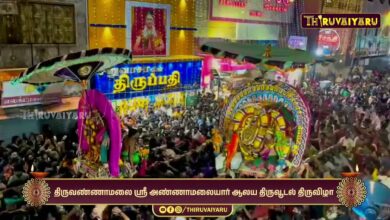 Photo of திருவண்ணாமலை ஸ்ரீ அண்ணாமலையார் ஆலய திருவூடல் திருவிழா அம்பாள்–அண்ணாமலையார் திருவூடல் திருவிழா