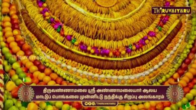 Photo of திருவண்ணாமலை ஸ்ரீ அண்ணாமலையார் ஆலய மாட்டுப் பொங்கலை முன்னிட்டு நந்திக்கு சிறப்பு அலங்காரம்
