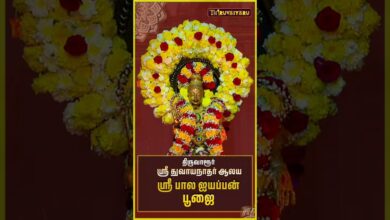 Photo of திருவாரூர் ஸ்ரீ துவாயநாதர் ஆலய ஸ்ரீ பால ஐயப்பன் பூஜை | Thiruvarur Sri Bala Ayyappan Poojai