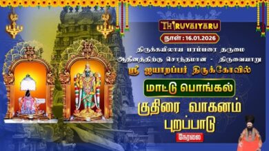 Photo of 🔴திருவையாறு ஸ்ரீ ஐயாறப்பர் ஆலய குதிரை வாகனம் புறப்பாடு|Ayyarappar Temple Kuthirai Vahanam Purappadu