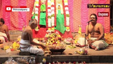 Photo of 🔴Live :  ஸ்ரீ ஆண்டாள் ஸ்ரீ ரங்கமன்னார் திருக்கல்யாணம் | Sri Andal Sri Rangamannar Thirukkalyanam