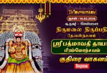 Photo of роЪрпЖройрпНройрпИ родро┐.роироХро░рпН родро┐ро░рпБрооро▓рпИ родро┐ро░рпБрокрпНрокродро┐ родрпЗро╡ро╕рпНродро╛ройроорпНро╕рпНро░рпА рокродрпНрооро╛ро╡родро┐ родро╛ропро╛ро░рпН рокро┐ро░роорпНроорпЛро▒рпНроЪро╡роорпН тАУ роХрпБродро┐ро░рпИ ро╡ро╛роХройроорпН