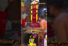 Photo of நேரலை Promo | கும்பகோணம் ஸ்ரீ காசிவிசுவநாதசுவாமி ஆலய மாசிமகப் பெருவிழா | Masi Magam Festival