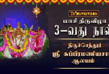 Photo of திருச்செந்தூர் ஸ்ரீ சுப்பிரமணியசாமி ஆலய மாசி திருவிழா | Masi Thiruvizha