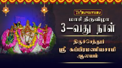 Photo of திருச்செந்தூர் ஸ்ரீ சுப்பிரமணியசாமி ஆலய மாசி திருவிழா | Masi Thiruvizha