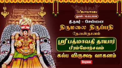 Photo of 🔴Live | ஸ்ரீ பத்மாவதி தாயார் பிரம்மோற்சவம் –  கல்ப விருக்ஷ வாகனம் | TTD Chennai T.Nagar
