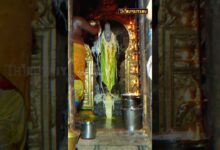 Photo of роороХро╛ роЪро┐ро╡ро░ро╛родрпНродро┐ро░ро┐ роХро╛ро▓роорпН -1 роирпЗро░ро▓рпИ Promo ро╕рпНро░рпА роХро░рпБроорпНрокрпЗро╕рпНро╡ро░ро░рпН роЖро▓роп родро┐ро░рпБроХрпНроХро╛ройрпВро░рпН