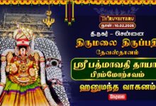 Photo of 🔴Live | ஸ்ரீ பத்மாவதி தாயார் பிரம்மோற்சவம் –  ஹனுமந்த வாகனம் | TTD Chennai T.Nagar