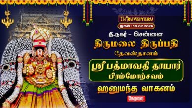Photo of 🔴Live | ஸ்ரீ பத்மாவதி தாயார் பிரம்மோற்சவம் –  ஹனுமந்த வாகனம் | TTD Chennai T.Nagar
