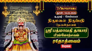 Photo of சென்னை தி.நகர் திருமலை திருப்பதி தேவஸ்தானம்ஸ்ரீ பத்மாவதி தாயார் பிரம்மோற்சவம் – ரதோத்சவம்