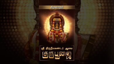 Photo of திருவாரூர் ஸ்ரீ திருநீலகண்டர் ஆலய குருபூஜை விழா