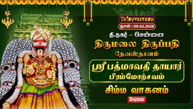 Photo of 🔴Live | ஸ்ரீ பத்மாவதி தாயார் பிரம்மோற்சவம் – சிம்ம வாகனம் | TTD Chennai T.Nagar